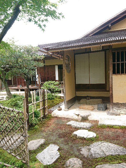 f:id:Megureca:20230823083423j:image