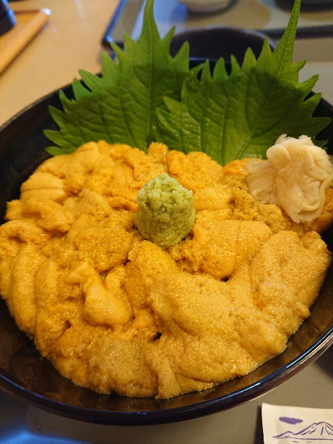 f:id:Megureca:20230903151426j:image