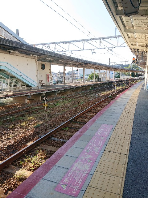 f:id:Megureca:20231017175002j:image f:id:Megureca:20231017175002j:image