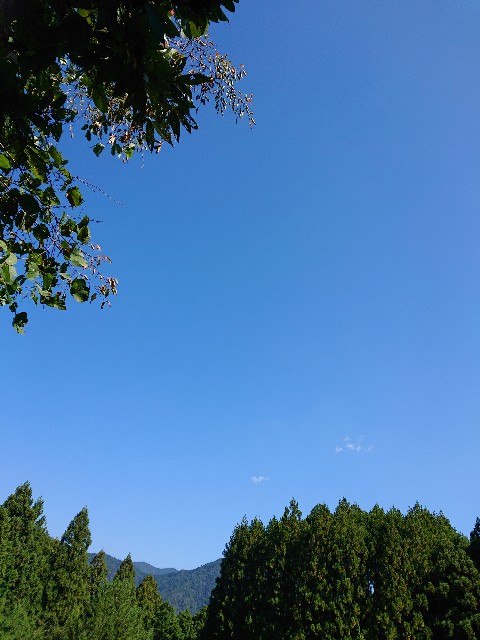 f:id:Megureca:20231017175127j:image f:id:Megureca:20231017175127j:image