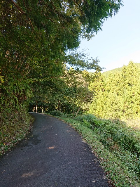 f:id:Megureca:20231017175149j:image f:id:Megureca:20231017175149j:image
