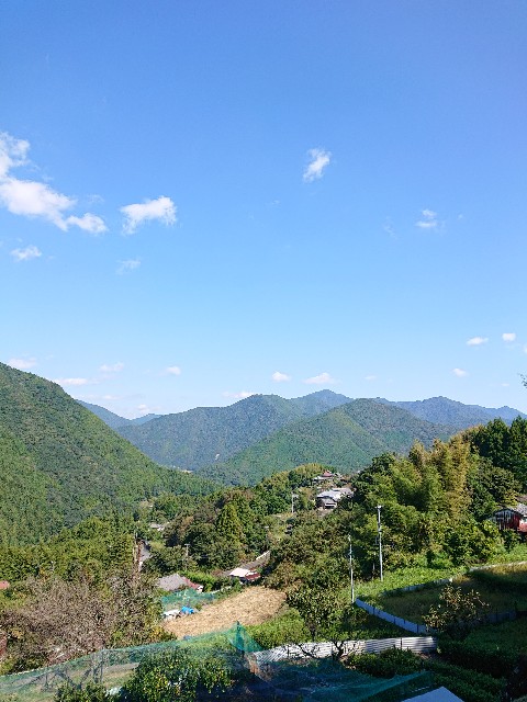 f:id:Megureca:20231017175320j:image f:id:Megureca:20231017175320j:image