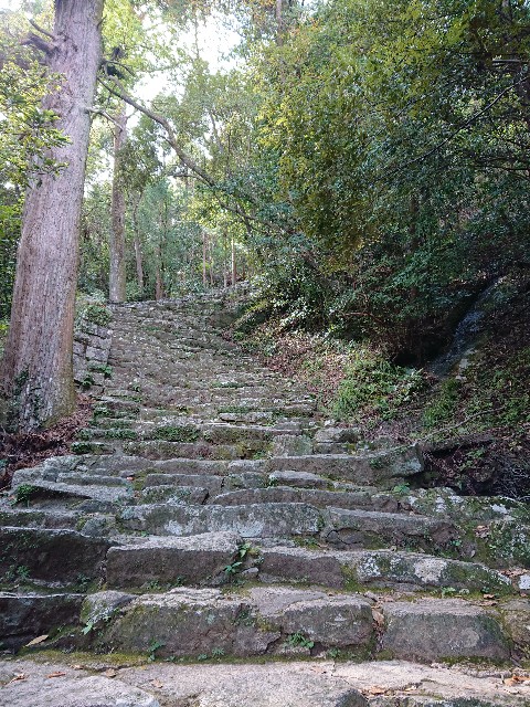 f:id:Megureca:20231018193720j:image