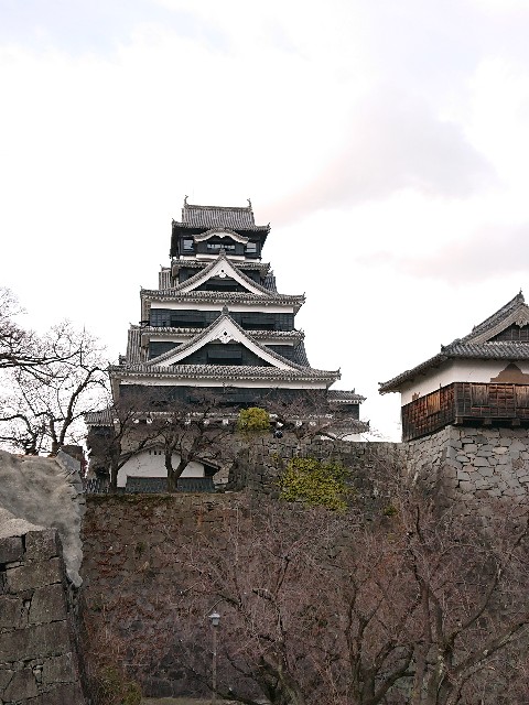 f:id:Megureca:20240123094405j:image