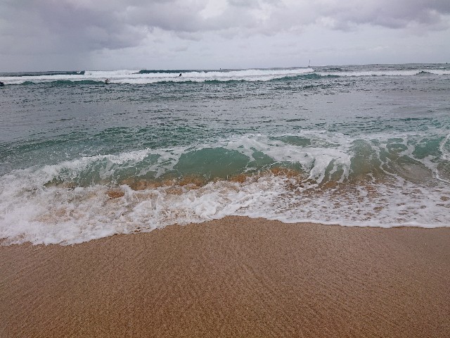 f:id:Megureca:20240311131945j:image