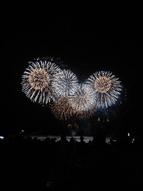 f:id:Megureca:20240312042005j:image
