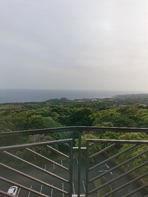 f:id:Megureca:20240330073759j:image