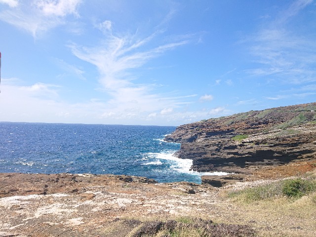 f:id:Megureca:20250310083314j:image