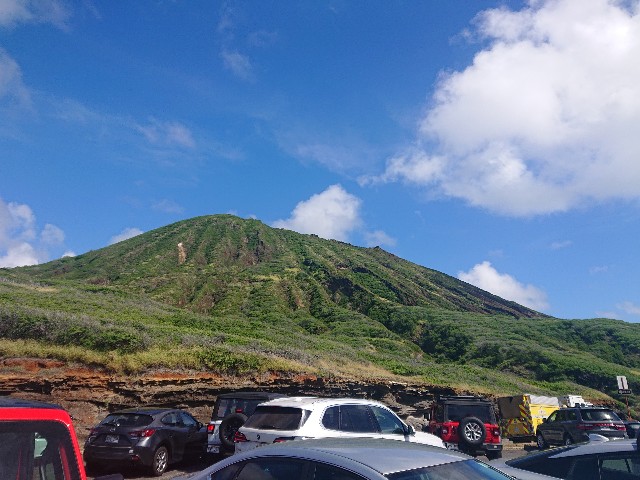 f:id:Megureca:20250310083337j:image