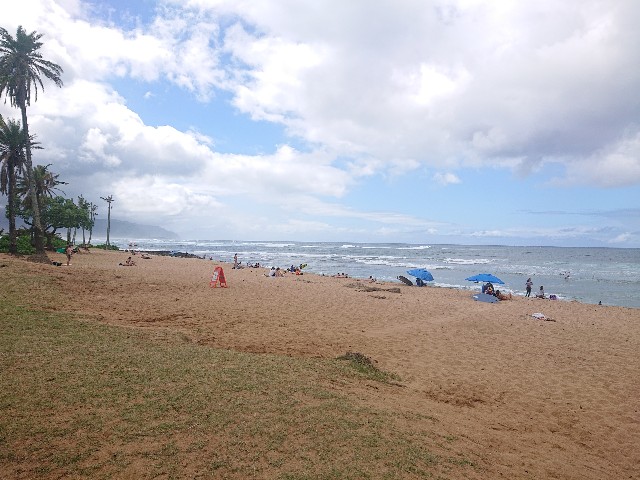 f:id:Megureca:20250310092010j:image