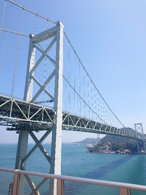 f:id:Megureca:20250406200211j:image f:id:Megureca:20250406200211j:image