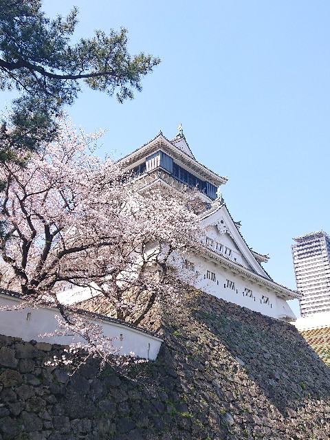 f:id:Megureca:20250406200411j:image f:id:Megureca:20250406200411j:image