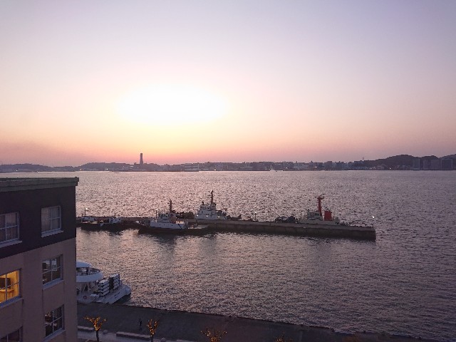 f:id:Megureca:20250406200713j:image f:id:Megureca:20250406200713j:image
