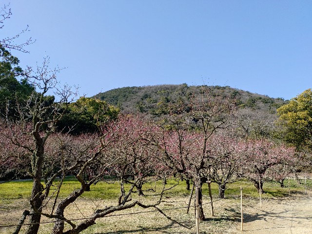 f:id:Megureca:20260128210146j:image