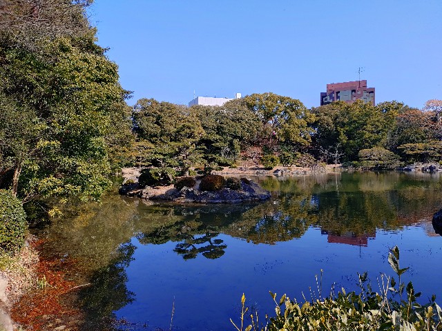 f:id:Megureca:20260128210212j:image