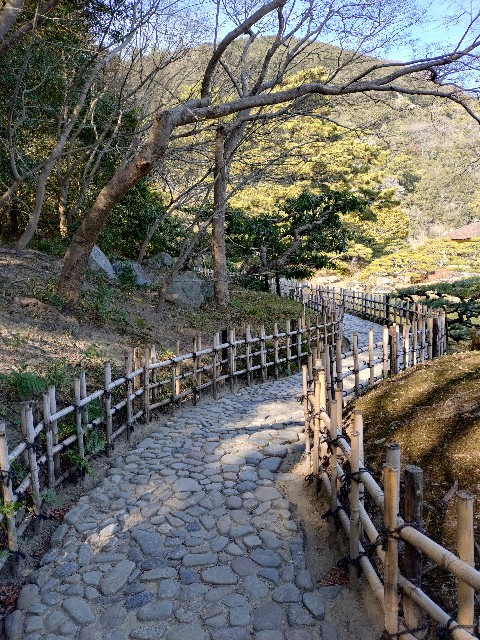 f:id:Megureca:20260128210247j:image