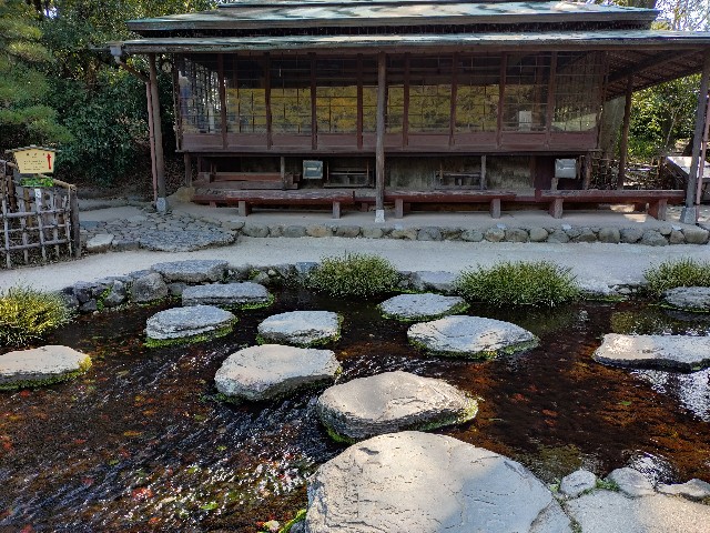 f:id:Megureca:20260128210317j:image