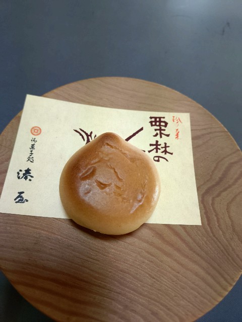 f:id:Megureca:20260128210425j:image