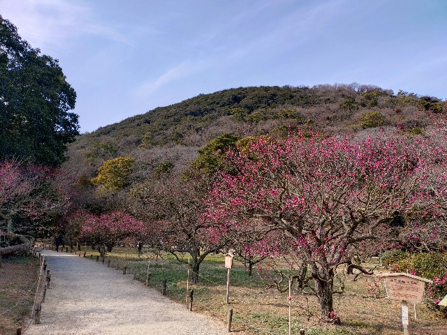 f:id:Megureca:20260128210515j:image