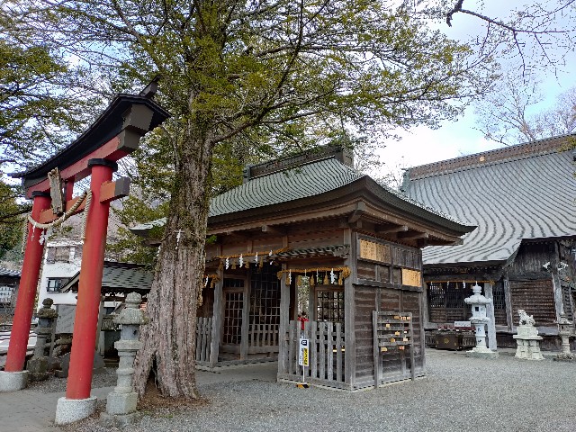 f:id:Megureca:20260330165531j:image