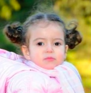 f:id:MeinFavorit:20201017124641p:plain