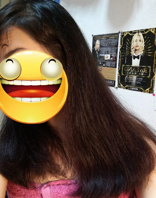 f:id:MeinelImpact:20190504183853j:image