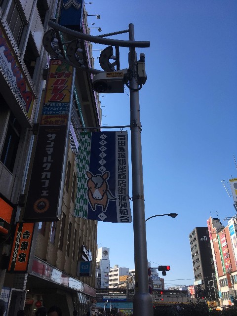 f:id:Meishu0202:20181231182433j:image