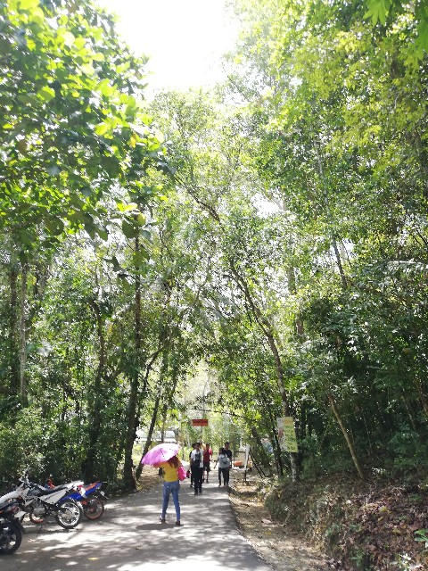 f:id:Meishu0202:20190714014555j:image