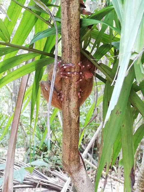 f:id:Meishu0202:20190714014653j:image