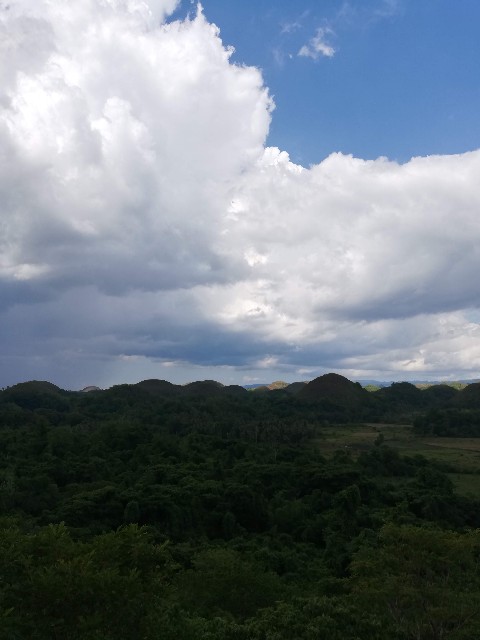 f:id:Meishu0202:20190714015325j:image