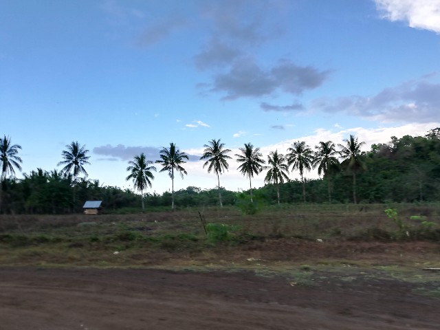 f:id:Meishu0202:20190714015530j:image