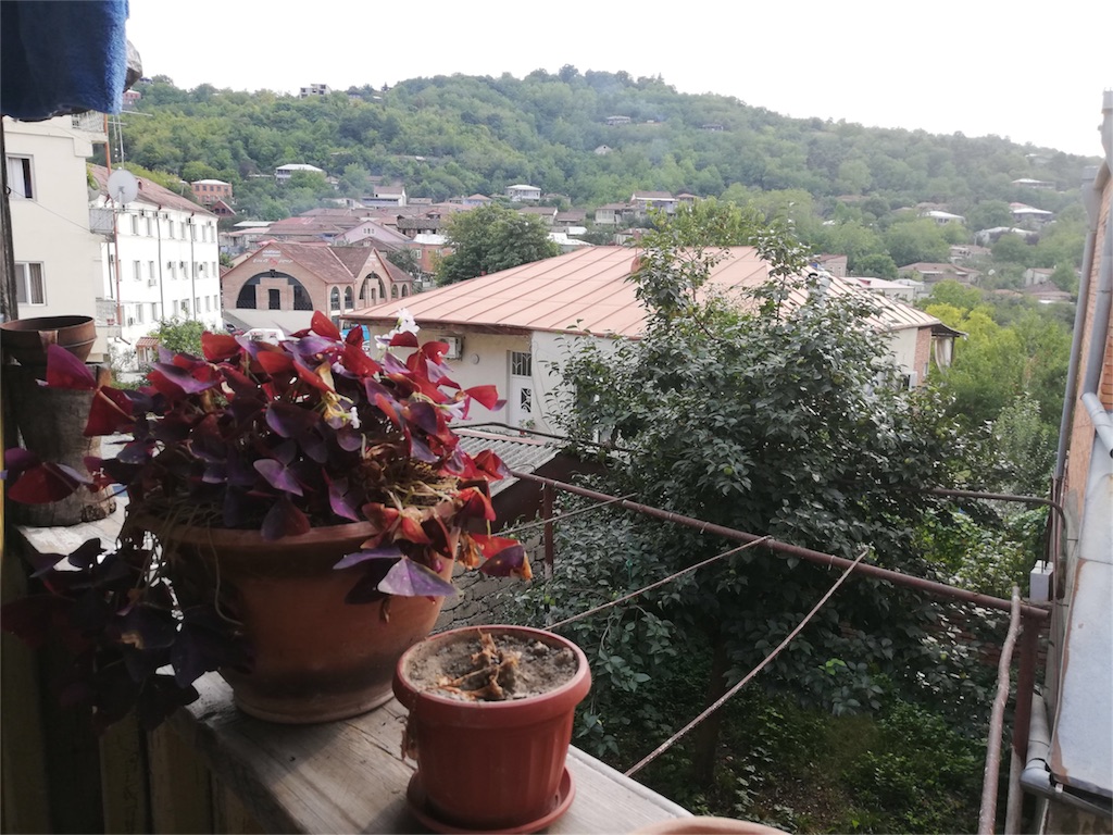 f:id:Meishu0202:20191013060703j:image f:id:Meishu0202:20191013060703j:image