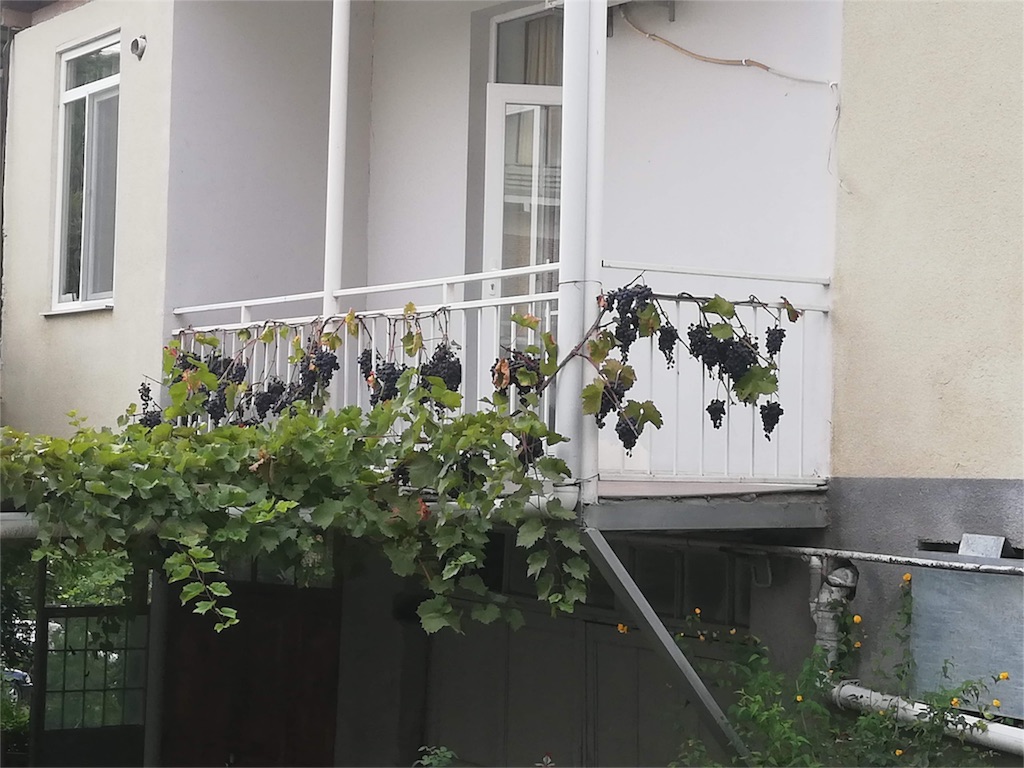 f:id:Meishu0202:20191013061133j:image f:id:Meishu0202:20191013061133j:image