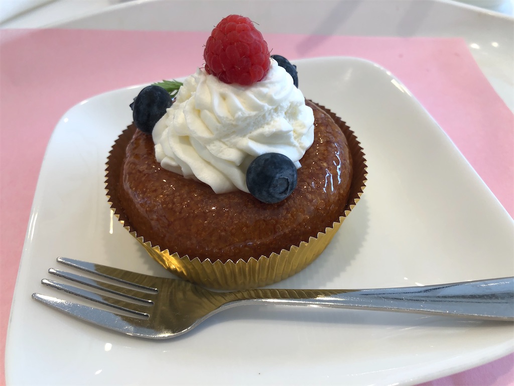 f:id:Meito:20210508225626j:image