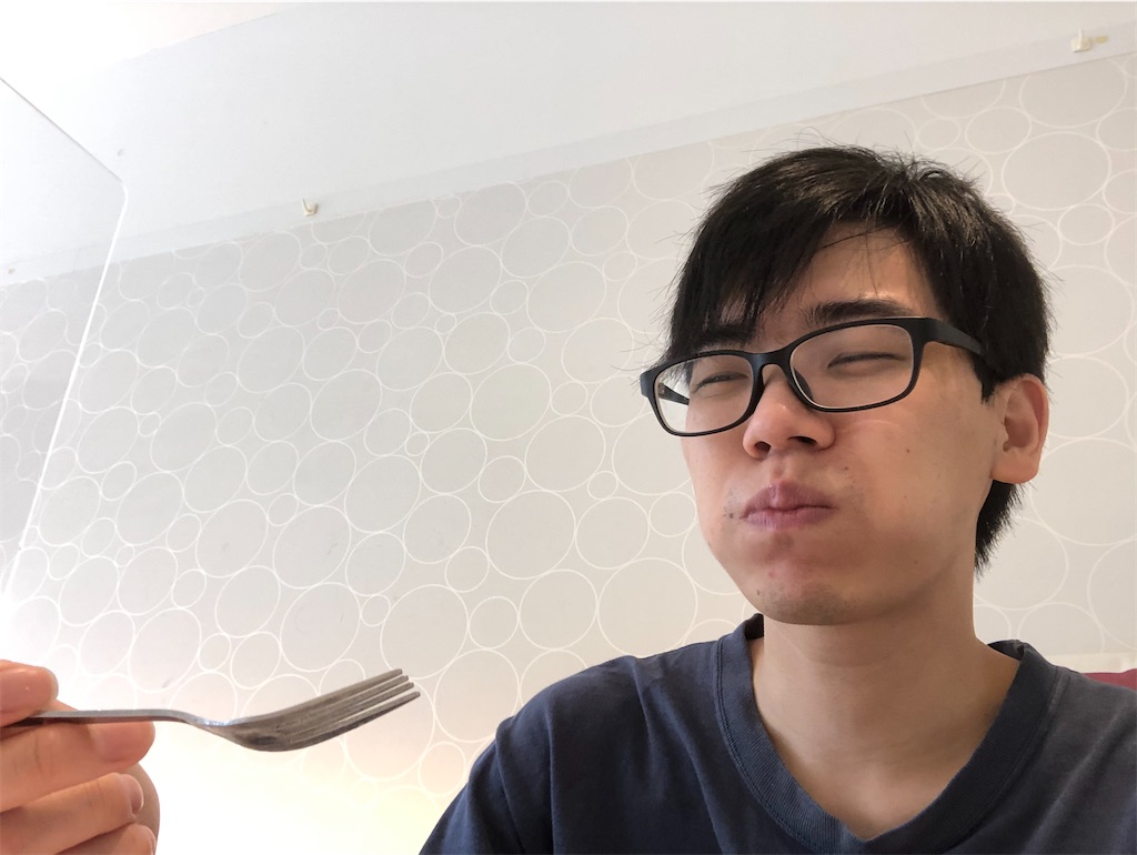 f:id:Meito:20210508230009j:image