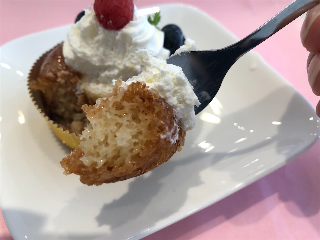 f:id:Meito:20210508230027j:image