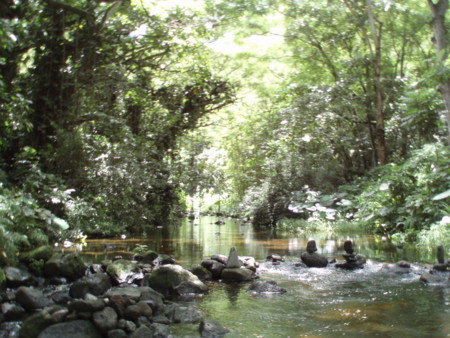 f:id:Mejiro:20110904070304j:image f:id:Mejiro:20110904070304j:image