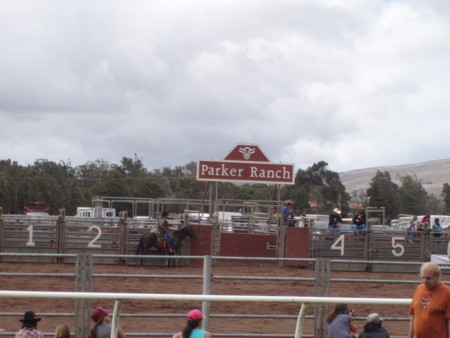 f:id:Mejiro:20110904084635j:image f:id:Mejiro:20110904084635j:image