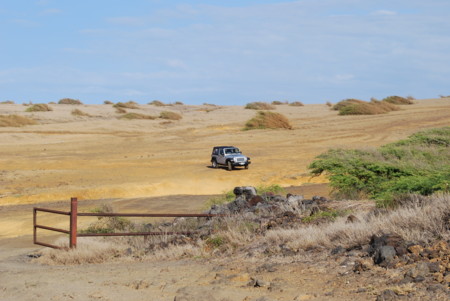 f:id:Mejiro:20110905034010j:image f:id:Mejiro:20110905034010j:image