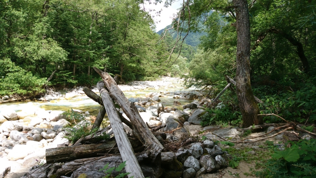 f:id:Mekapiku:20170812094517j:plain