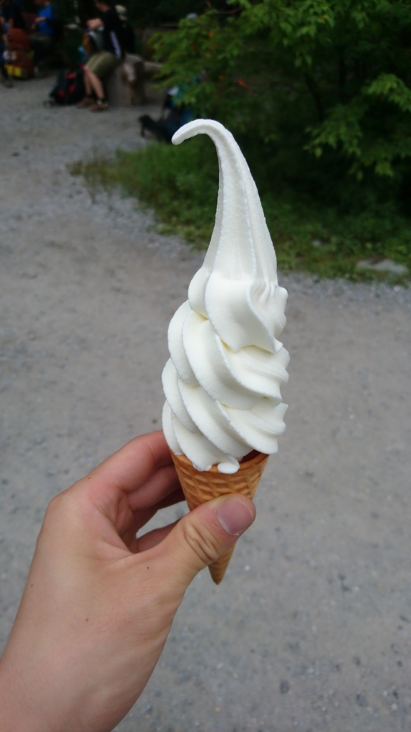 f:id:Mekapiku:20170815103226j:plain