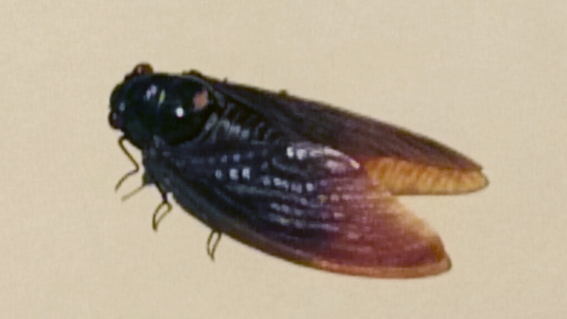 f:id:Melonpankuma:20160922152140j:plain