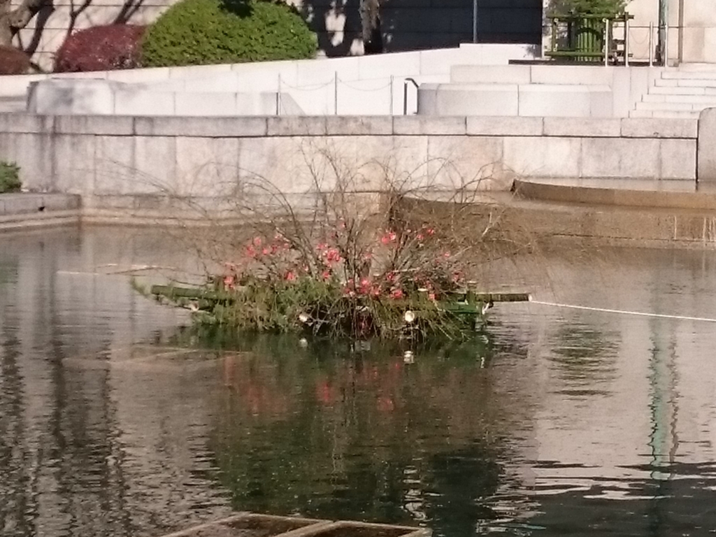 f:id:Melonpankuma:20170106102720j:plain