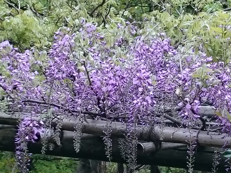 f:id:Melonpankuma:20170422203145j:plain