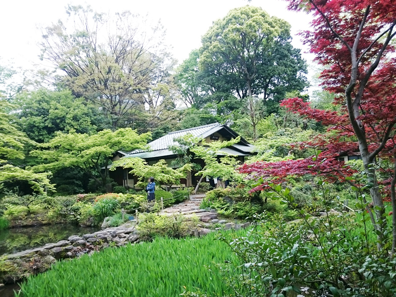 f:id:Melonpankuma:20170422203232j:plain