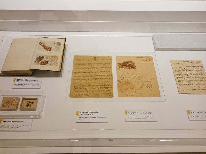 f:id:Melonpankuma:20171219174545j:plain