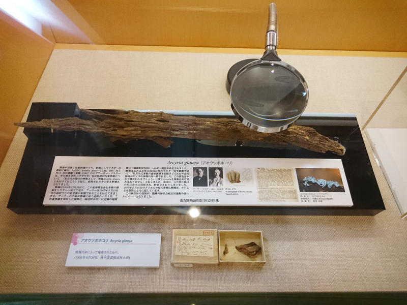 f:id:Melonpankuma:20171219174548j:plain