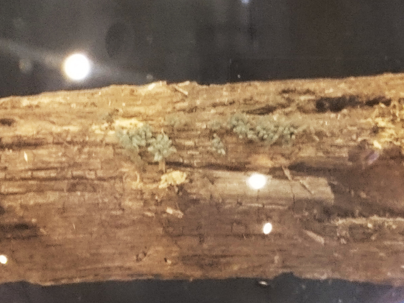 f:id:Melonpankuma:20171219174549j:plain