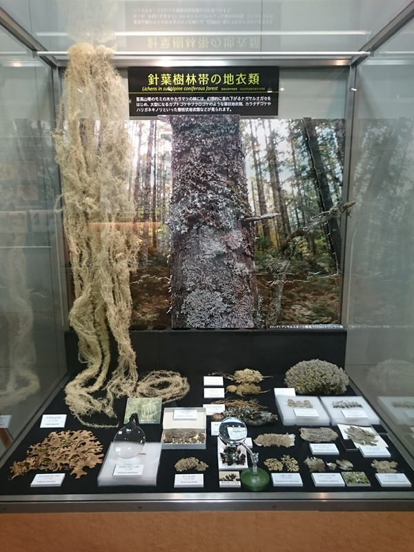 f:id:Melonpankuma:20171228144839j:plain