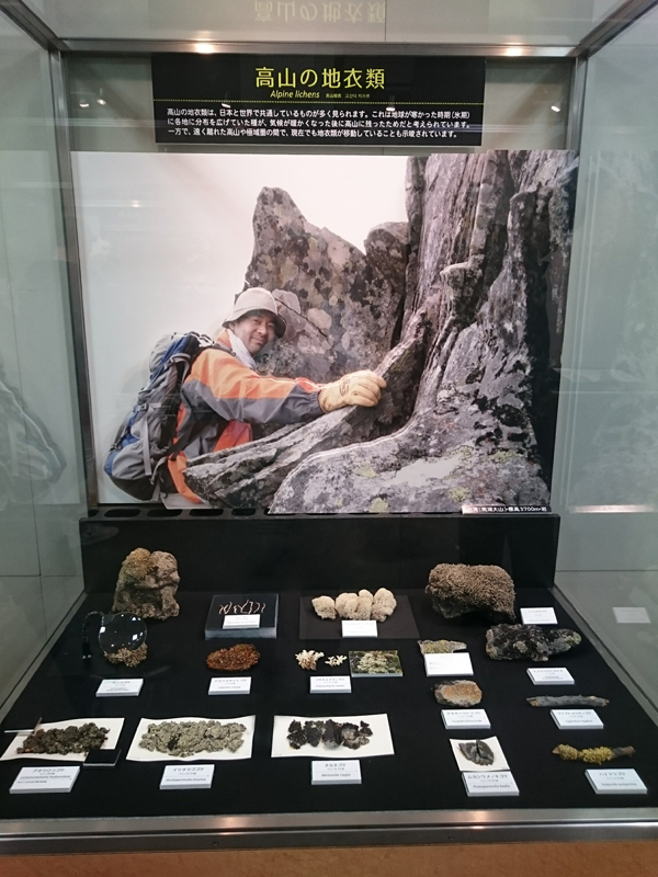 f:id:Melonpankuma:20171228144840j:plain